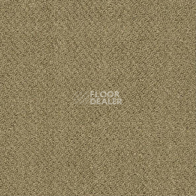 Ковровая плитка Shaw Momentum 02305 фото 1 | FLOORDEALER