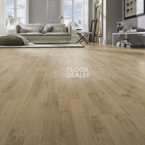 Kronotex Dynamic Plus d4953 Дуб Плау фото 2 | FLOORDEALER