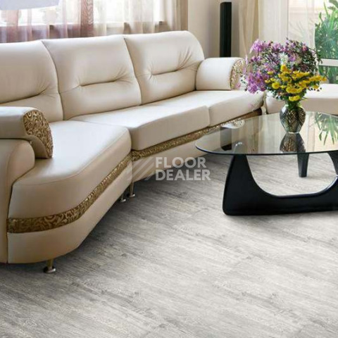 Wood CASTLE OAK WHITE фото 3 | FLOORDEALER