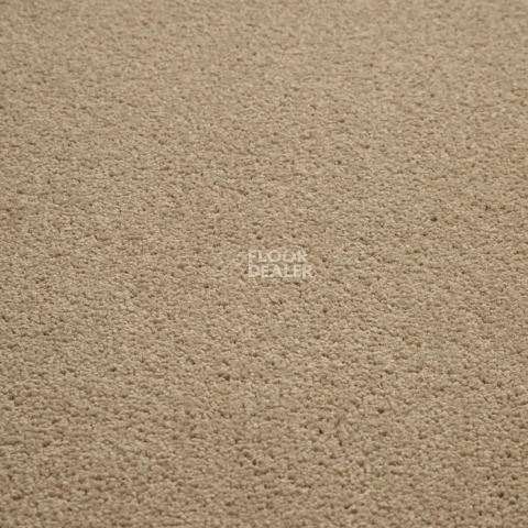 Haima Noble 41 фото 11 | FLOORDEALER