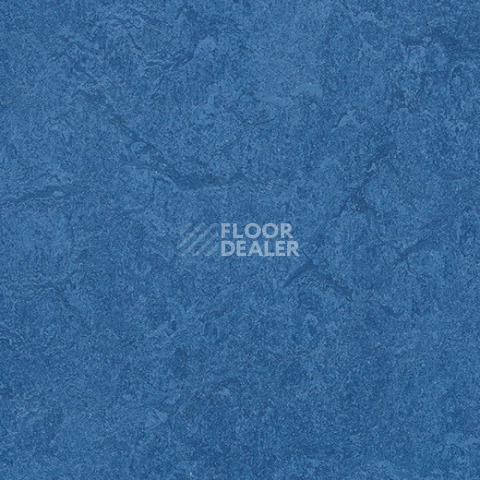 Линолеум Forbo Marmoleum Sport 83110 dark blue фото 1 | FLOORDEALER