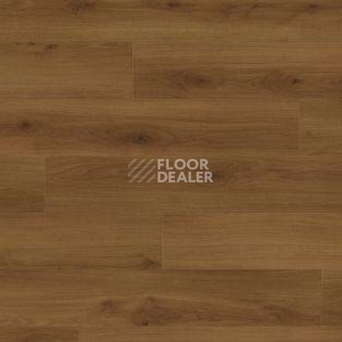 Ламинат Haro Tritty 100 Gran Via 4V ДУБ ЭМИЛИЯ ЯНТАРНЫЙ 541519 фото 1 | FLOORDEALER