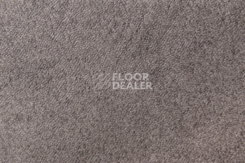 Vertigo Trend / Stone & Design 5906 Truffle Meadow фото 5 | FLOORDEALER