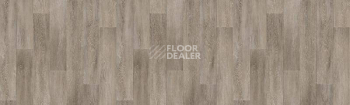 Линолеум Tarkett Fresh FRAPPE1 фото 1 | FLOORDEALER