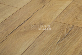Ламинат Kronopol Aurum Aroma d3881 Дуб Мятой фото 1 | FLOORDEALER