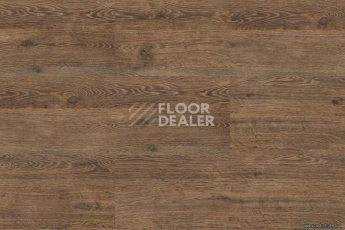 Wood замковое OAK BRUSHED фото 3 | FLOORDEALER
