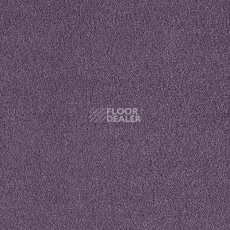 Ковролин Lano Bergamo Ber 0070 фото 1 | FLOORDEALER