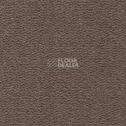 Ковролин Best Wool Pure Tasman 131 фото 1 | FLOORDEALER