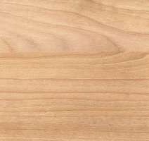 Gerflor Taraflex Performance Wood