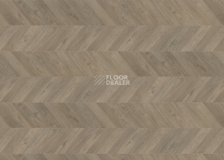 Ламинат Haro Chevron 8мм 545182 Дуб Серый Шеврон фото 1 | FLOORDEALER