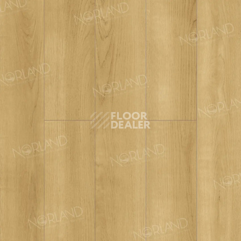 Ламинат Norland Elegant Strong 12мм Дуб Лузон LF302-06 фото 1 | FLOORDEALER