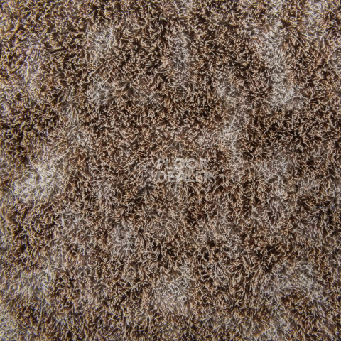 Forbo Flotex Colour s 445025 Canyon Earth фото 2 | FLOORDEALER