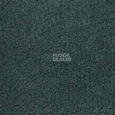 Ковролин Radici Montecarlo 67 фото 1 | FLOORDEALER