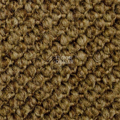 Ковролин Carpet Concept Eco Cut 7204 фото 1 | FLOORDEALER