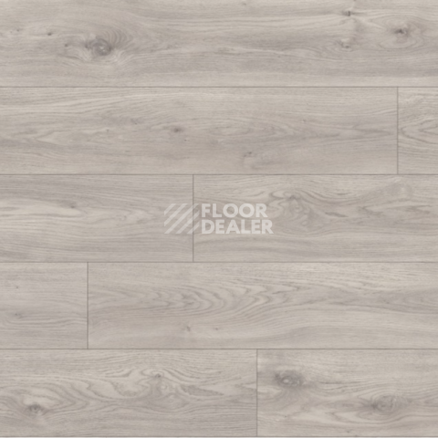Moduleo Roots 0.55 EIR дерево SIERRA OAK 58936Q фото 2 | FLOORDEALER