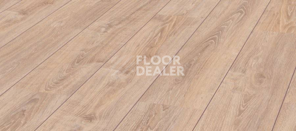 Ламинат Kronotex Exquisit 8мм d2987 Дуб Ретушированный фото 1 | FLOORDEALER
