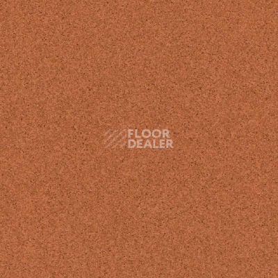 Линолеум Tarkett Primo Plus Depot Primo 305 фото 1 | FLOORDEALER