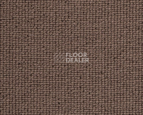 Ковролин Best Wool Hospitality 1 h 1450 - e 40000 фото 1 | FLOORDEALER