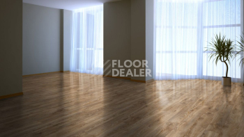 Kronotex Mammut Plus d4795 Дуб Горный бронзовый фото 2 | FLOORDEALER