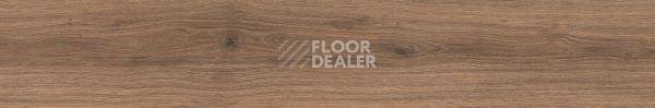 Керамогранит Cocoon 20 X 120 Peace фото 1 | FLOORDEALER