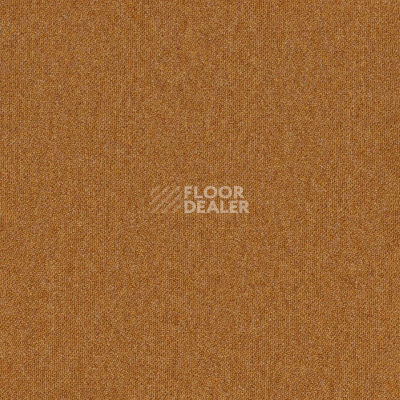Ковровая плитка Desso Essence Pure ad 07 5411 фото 1 | FLOORDEALER