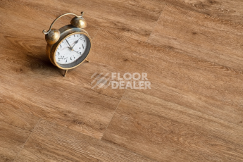 Alpine Floor Grand Sequoia Superior ABA 8мм Гевуина ECO 11-703 фото 2 | FLOORDEALER
