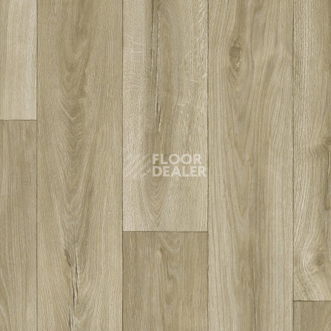 Линолеум Tarkett Activa R DUERO 2 фото 1 | FLOORDEALER