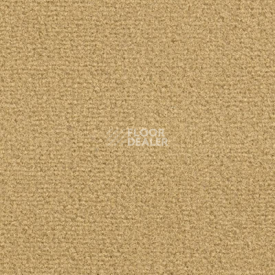 Ковролин Balsan Les Greens Confort+ 348 фото 1 | FLOORDEALER
