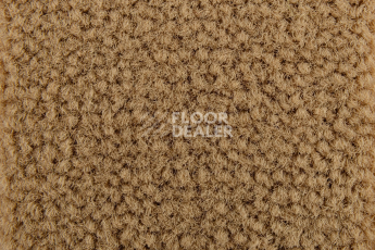 Balsan Les Best 680 фото 2 | FLOORDEALER