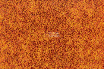 Forbo Flotex Colour Metro 5050 t 546025 Metro Tangerine фото 2 | FLOORDEALER