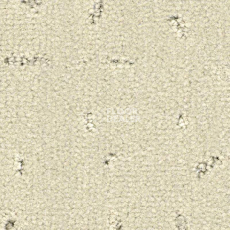 Ковролин Balsan Elite 605 фото 1 | FLOORDEALER