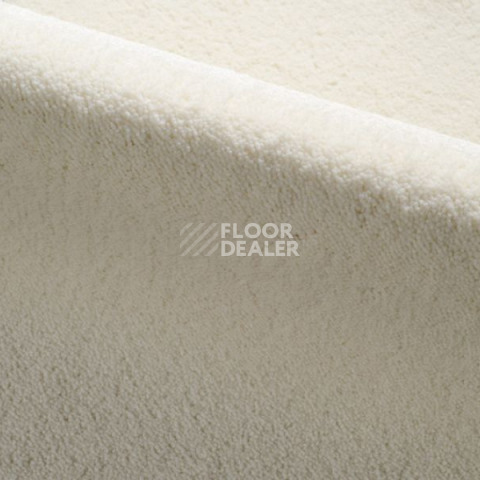 Ковролин Radici Dolce Vita 1302 фото 1 | FLOORDEALER