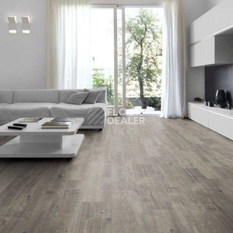 Kronotex Exquisit 8мм d4786 Дуб Гала Серый фото 2 | FLOORDEALER