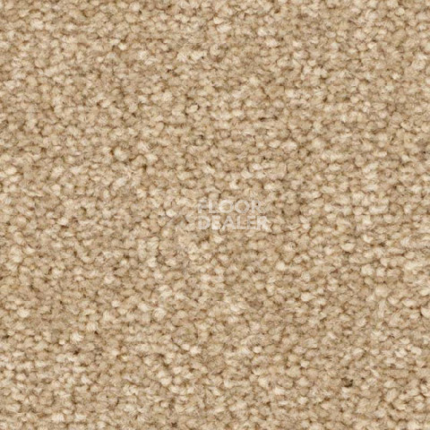Ковролин Balsan First Class 630 фото 1 | FLOORDEALER