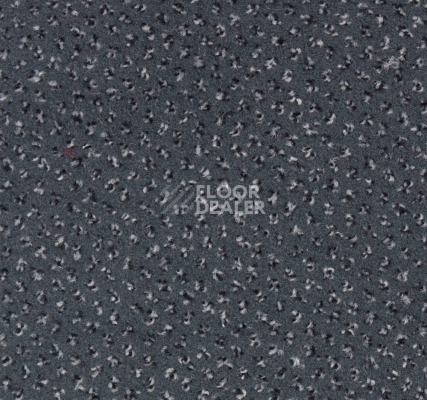 Ковролин Betap Pluto 74 фото 1 | FLOORDEALER