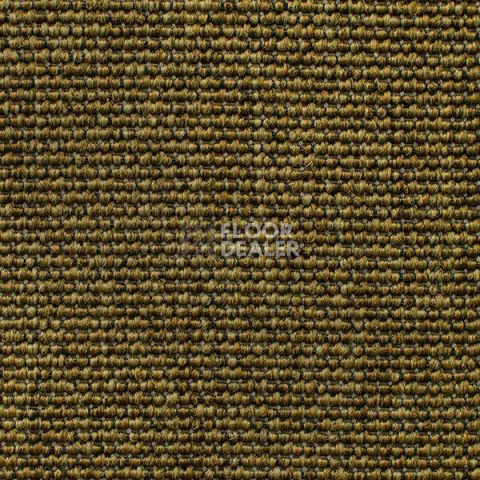 Ковролин Carpet Concept Eco Iqu 60240 фото 1 | FLOORDEALER