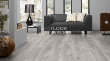 Kronotex Mammut d4793 Дуб Белый Макро фото 4 | FLOORDEALER