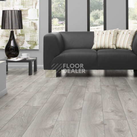 Kronotex Mammut d4793 Дуб Белый Макро фото 4 | FLOORDEALER