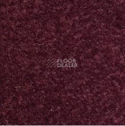 Ковролин Emphatic Beaulieu of America 56883 фото 1 | FLOORDEALER