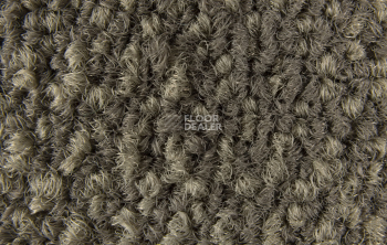 InnovFlor Galaxy F 005 фото 4 | FLOORDEALER