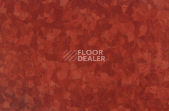 Tarkett iq Melodia 2634 фото 3 | FLOORDEALER