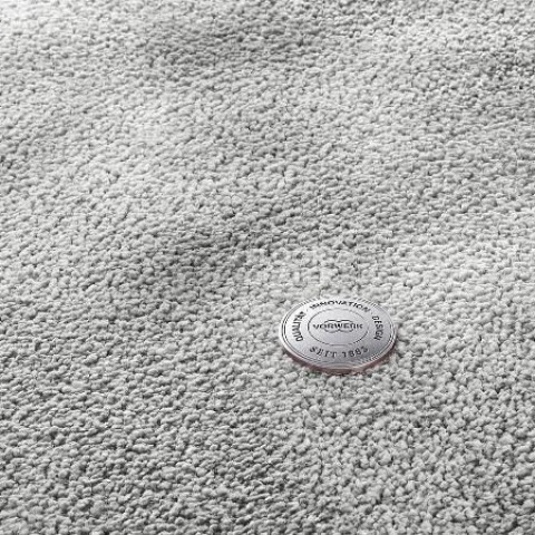Ковролин Vorwerk Superior 1067 Mira Vorwerk 5x99 фото 1 | FLOORDEALER