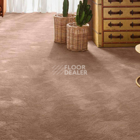 Vorwerk Exclusive 1060 Safira 1n26 фото 2 | FLOORDEALER