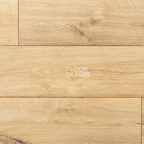 Ламинат My Step Fortis MS412 Дуб Глессум фото 1 | FLOORDEALER