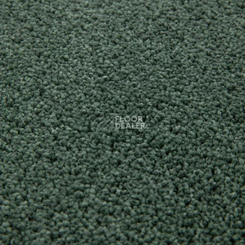 Haima Noble 71 фото 12 | FLOORDEALER