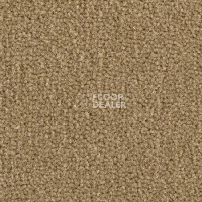 Ковролин Balsan Majestic 730 фото 1 | FLOORDEALER