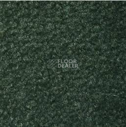Ковролин Emphatic Beaulieu of America 56366 фото 1 | FLOORDEALER