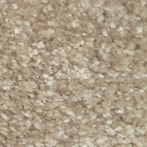 Balsan Sweet Dreams 610 фото 2 | FLOORDEALER