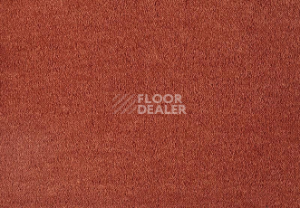 Ковролин Lano Dream 321 Orange 1 фото 1 | FLOORDEALER