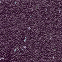 Линолеум Grabo Stop F 2.5 5980-956-05-263  | FLOORDEALER